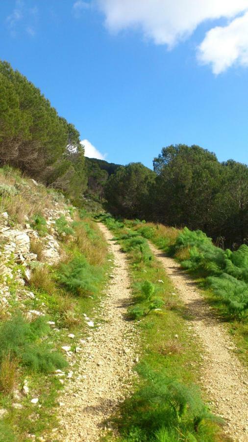 Ostello Cielo D'Alcamo Bagian luar foto